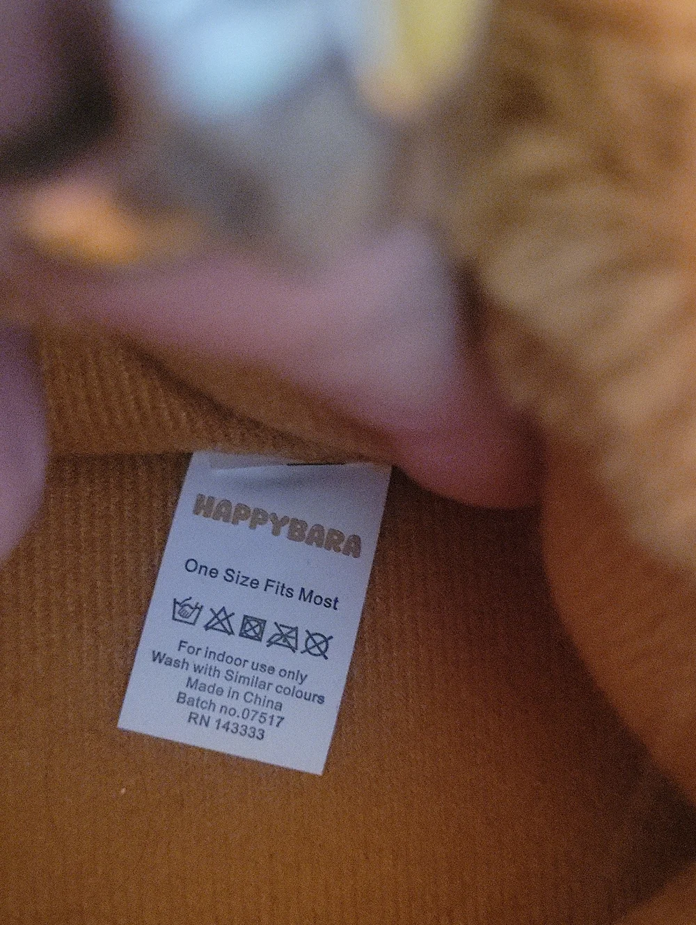 Capybara Slippers